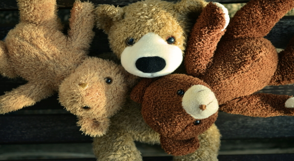 Stuffed animals are being sent from Danville to Ukraine