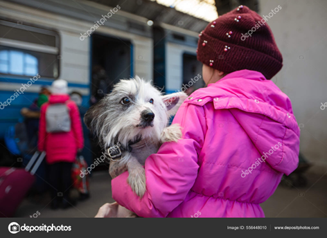 Local Expertise with Global Reach: U.S. Veterinarians Unite for Pets in Ukraine