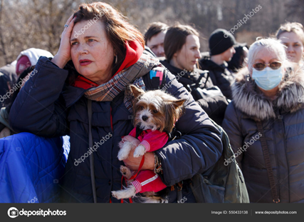 Local Expertise with Global Reach: U.S. Veterinarians Unite for Pets in Ukraine