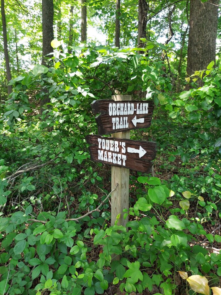 Finding The Road Less Traveled: Explore Dan River Region Trails