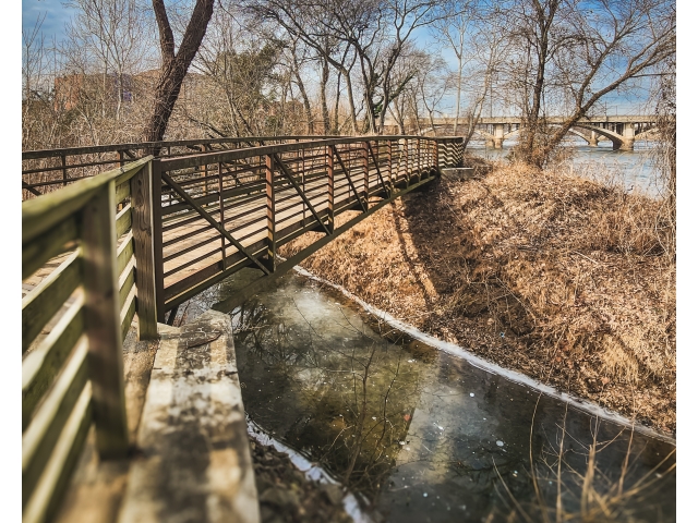 Between Winters Retreat and Springs Bloom - Danville Riverwalk Trail