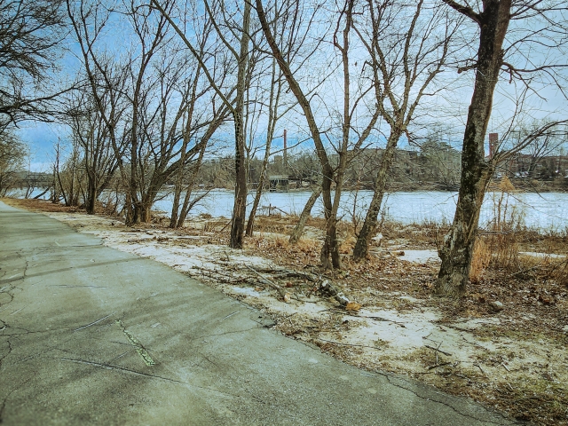 Between Winters Retreat and Springs Bloom - Danville Riverwalk Trail