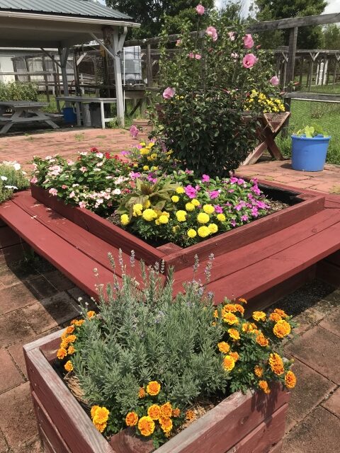 Getting Your Hands Dirty and Doing Something Worthwhile - Southside Master Gardeners
