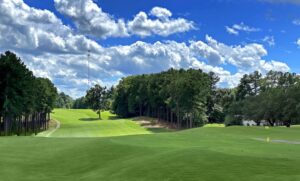 Picturesque Setting Offers a Great Escape Caswell Pines Golf Club