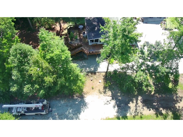 A Rather Wooded Lot - SA Arbor Care Tree Service